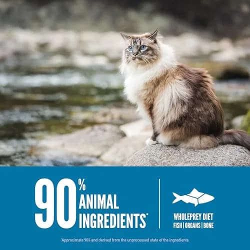 ORIJEN Six Fish Recipe Grain-Free Dry Cat Food 1.81 kg (4 lb) | High Protein, Biologically Appropriate thumbnail 5