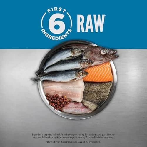 ORIJEN Six Fish Recipe Grain-Free Dry Cat Food 1.81 kg (4 lb) | High Protein, Biologically Appropriate thumbnail 4