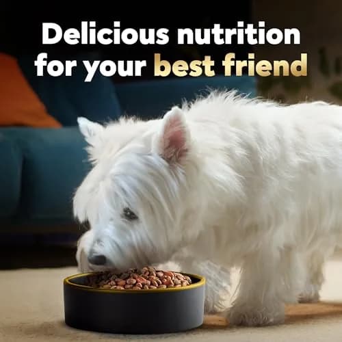Cesar Small Breed Dry Dog Food Filet Mignon & Spring Vegetables 2.7 lb | Gourmet Nutrition for Small Dogs thumbnail 6
