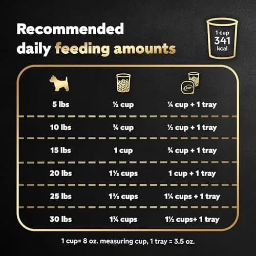 Cesar Small Breed Dry Dog Food Filet Mignon & Spring Vegetables 2.7 lb | Gourmet Nutrition for Small Dogs thumbnail 7