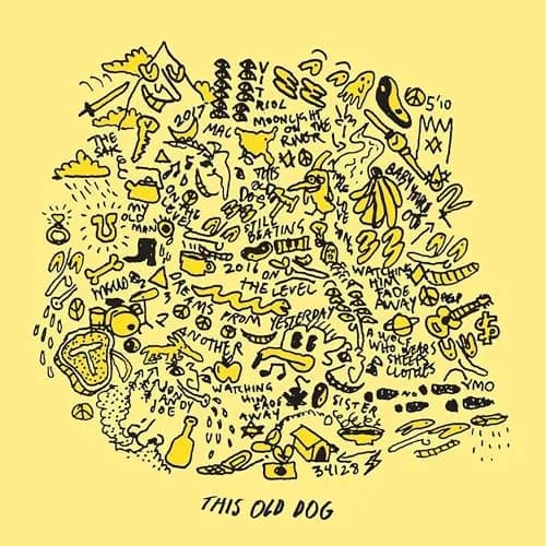 Zach Top This Old Dog Vinyl LP | Mac DeMarco Rock Album 12.28in x 12.24in thumbnail 1