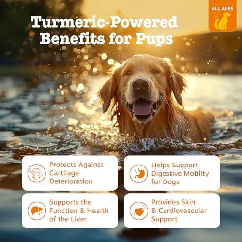 Zesty Paws Turmeric Curcumin Dog Chews 90 Count | Hip & Joint Support with Coconut Oil & BioPerine thumbnail 2