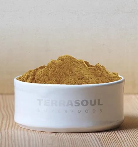 Terrasoul Superfoods Organic Lion's Mane Mushroom Powder (4:1 Extract), 11 Ounces | Concentrated Mushroom for Brain & Digestive Health thumbnail 3