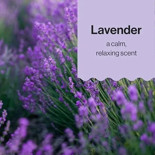 The Honest Company Shampoo Body Wash & Lotion, Lavender Calm, 18.5 Fl Oz | Gentle, Tear-Free, Naturally Derived thumbnail 7