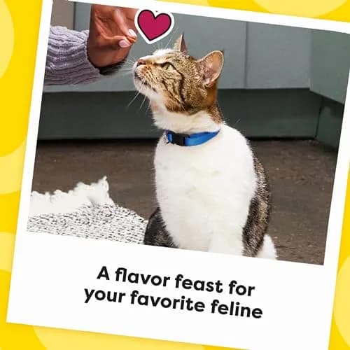 Temptations MixUps Crunchy and Soft Cat Treats, Backyard Cookout Flavor, 850g (30 oz) | Cats Love the Trifecta of Chicken, Liver & Beef thumbnail 9