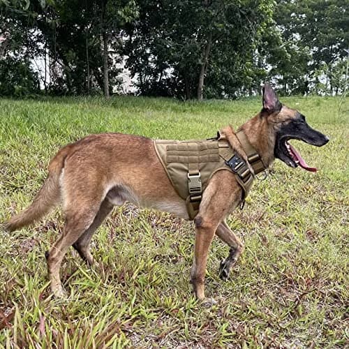 ICEFANG Tactical Dog Harness X-Large Brown | Heavy Duty MOLLE Vest with Metal Buckles, No-Pull Front Clip, 2 Leash Rings thumbnail 2