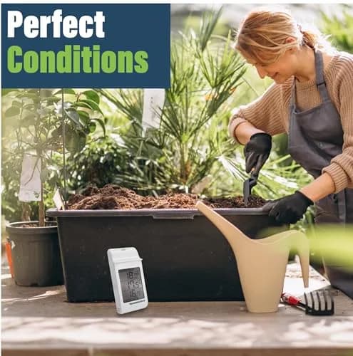 Thermometer World Digital Max Min Greenhouse Thermometer 180mm (7.1in) | Monitors Max & Min Temps for Gardens & Greenhouses thumbnail 6