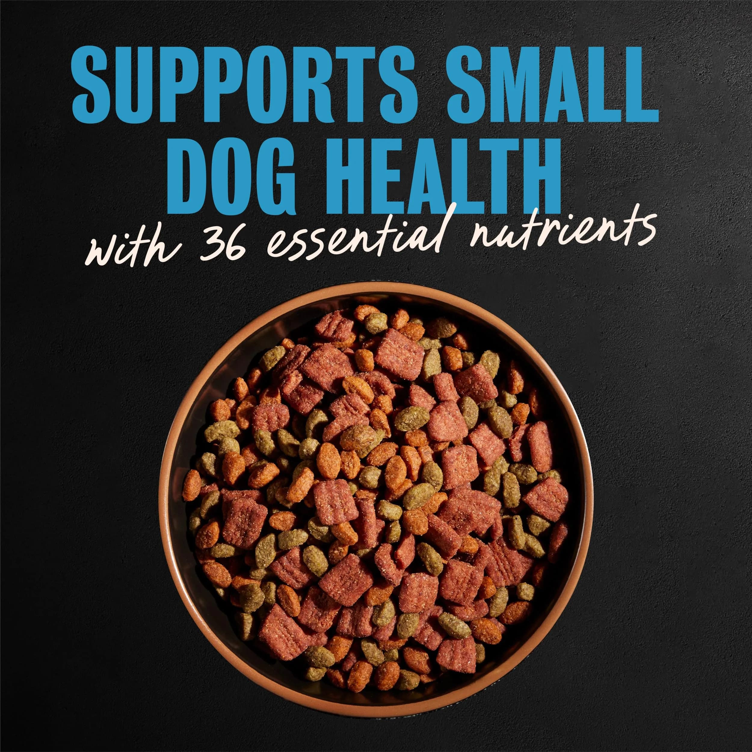 Cesar Small Breed Dry Dog Food Porterhouse Flavor & Spring Vegetables 2.27 kg (5 lb) | Real Beef First Ingredient — Chicken / 12 Pound thumbnail 3