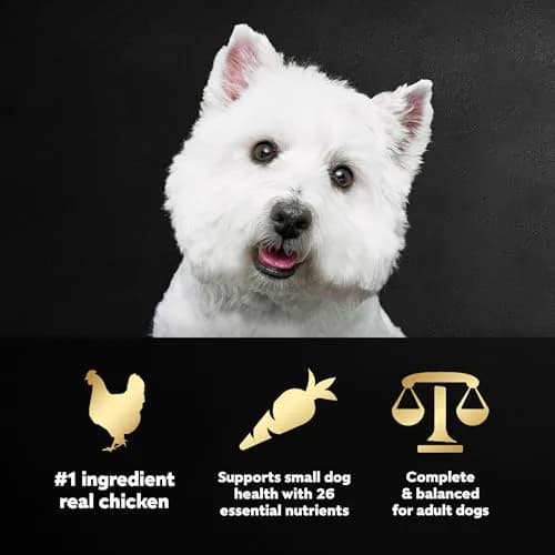 Cesar Small Breed Dry Dog Food, Chicken & Spring Vegetables Flavor, 1.23 kg (2.7 lb) | Nutritionally Complete & Balanced for Small Dogs thumbnail 2