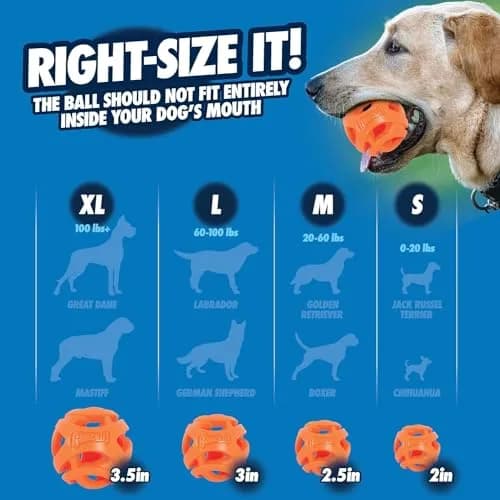 Chuckit! Air Fetch Dog Ball, Medium 2.5in | Breathable, Floating, Treat-Dispenser thumbnail 2