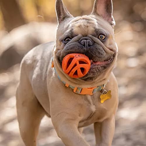 Chuckit! Air Fetch Dog Ball, Medium 2.5in | Breathable, Floating, Treat-Dispenser thumbnail 3