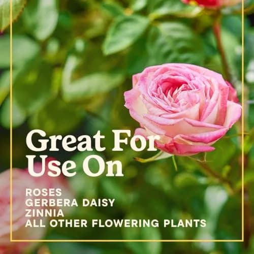 Miracle-Gro Indoor Potting Mix for Orchids 8 qt. | Supports Strong Roots & Blooming thumbnail 9