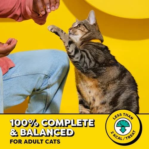 Temptations Classic Crunchy Cat Treats, Shrimpy Shrimp Flavor, 3 oz (85g) x 12 Pack | Irresistible Cat Snacks thumbnail 3