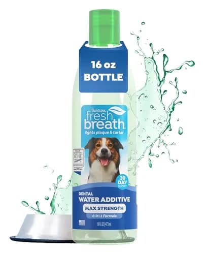 TropiClean Fresh Breath Max Strength Dog Teeth Cleaning Water Additive 473ml (16 fl oz) | VOHC Accepted for Plaque & Tartar Control — 16 fl oz