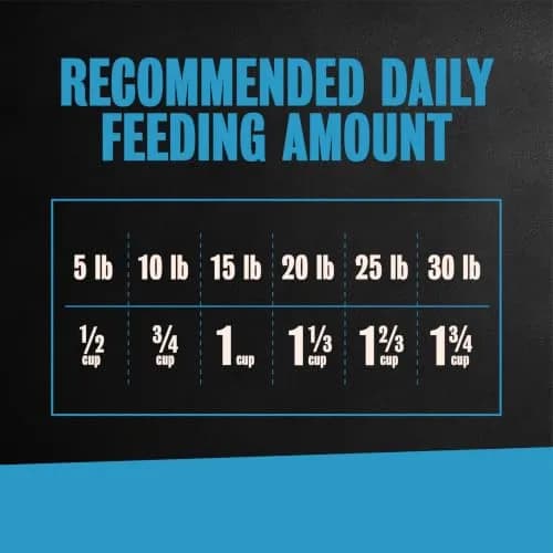 Cesar Small Breed Dry Dog Food Chicken Flavor & Spring Vegetables Garnish 2.27 kg (5 lb) | Real Chicken First Ingredient thumbnail 7