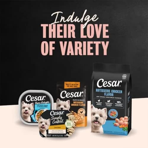 Cesar Small Breed Dry Dog Food Chicken Flavor & Spring Vegetables Garnish 2.27 kg (5 lb) | Real Chicken First Ingredient thumbnail 9