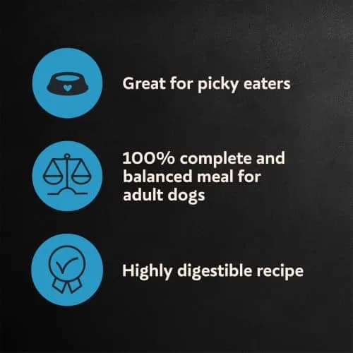 Cesar Small Breed Dry Dog Food Chicken Flavor & Spring Vegetables Garnish 2.27 kg (5 lb) | Real Chicken First Ingredient thumbnail 2