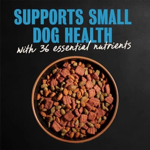 Cesar Small Breed Dry Dog Food Chicken Flavor & Spring Vegetables Garnish 2.27 kg (5 lb) | Real Chicken First Ingredient thumbnail 3