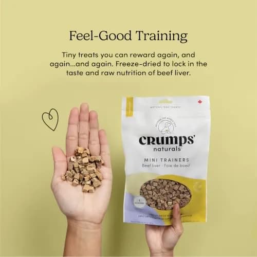 Crumps’ Naturals Freeze-Dried Beef Liver Mini Trainers 1.8 oz | All Natural Dog Treats for Training & Reward thumbnail 6