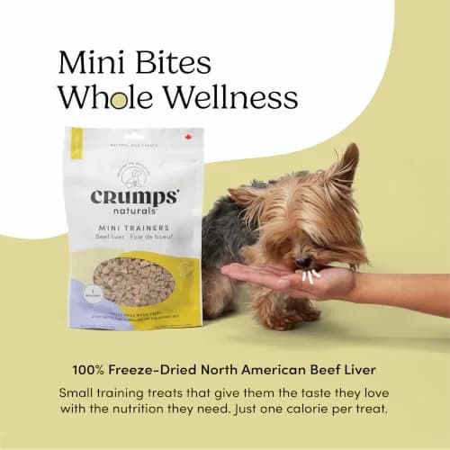 Crumps’ Naturals Freeze-Dried Beef Liver Mini Trainers 1.8 oz | All Natural Dog Treats for Training & Reward thumbnail 2