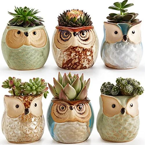 SUN-E SE Owl Pot Ceramic Flowing Glaze Base Serial Set Succulent Plant Pot 6pcs 2.5 Inch | Modern Garden Decor thumbnail 1