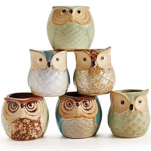 SUN-E SE Owl Pot Ceramic Flowing Glaze Base Serial Set Succulent Plant Pot 6pcs 2.5 Inch | Modern Garden Decor thumbnail 4