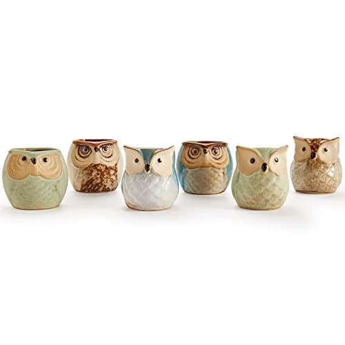 SUN-E SE Owl Pot Ceramic Flowing Glaze Base Serial Set Succulent Plant Pot 6pcs 2.5 Inch | Modern Garden Decor thumbnail 2