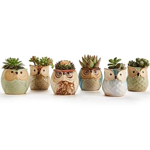 SUN-E SE Owl Pot Ceramic Flowing Glaze Base Serial Set Succulent Plant Pot 6pcs 2.5 Inch | Modern Garden Decor thumbnail 3