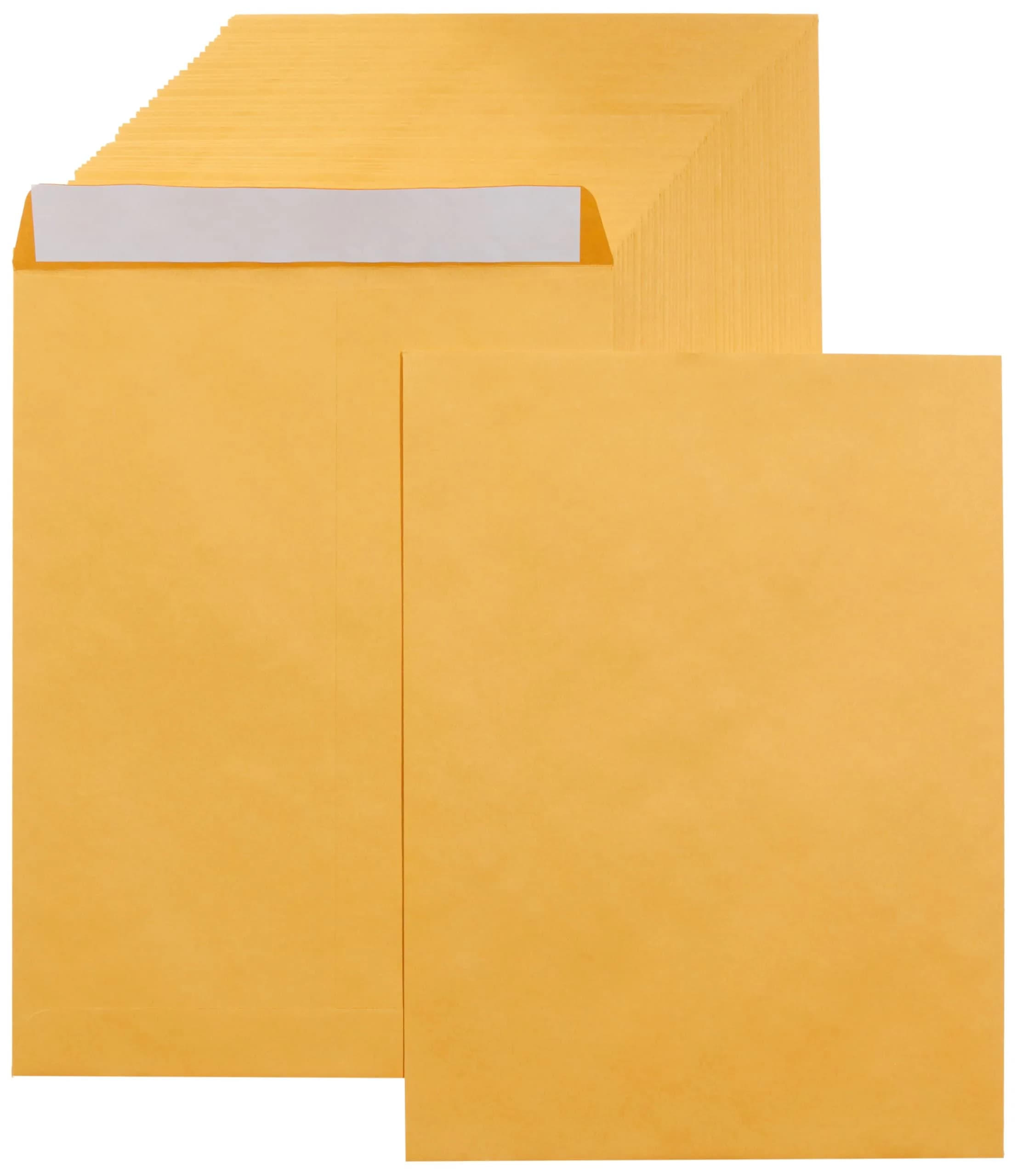 Amazon Basics Catalog Self Seal Mailing Envelopes 9" x 12" Brown Kraft 250-Pack | Peel & Seal Closure