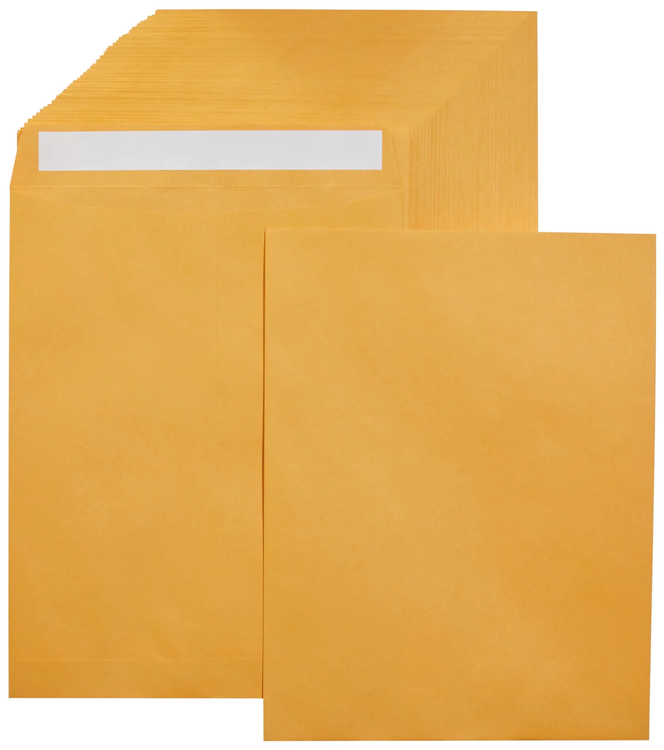 Amazon Basics Catalog Self Seal Mailing Envelopes 10 x 13 Inch Brown Kraft 250-Pack | Peel and Seal Closure - main product image