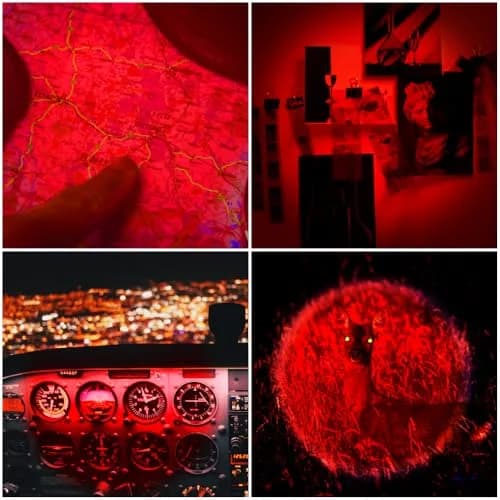 WAYLLSHINE 1-Mode Red LED Flashlight 9cm (3.5in) | Astronomy & Wildlife Observation thumbnail 3