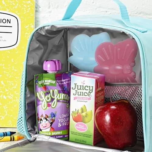 Fit & Fresh Reusable Kids Lunch Box Ice Packs 4pk | Slim Butterfly-Shaped, BPA-Free, Compact & Powerful Cooling (70-120 chars) thumbnail 4