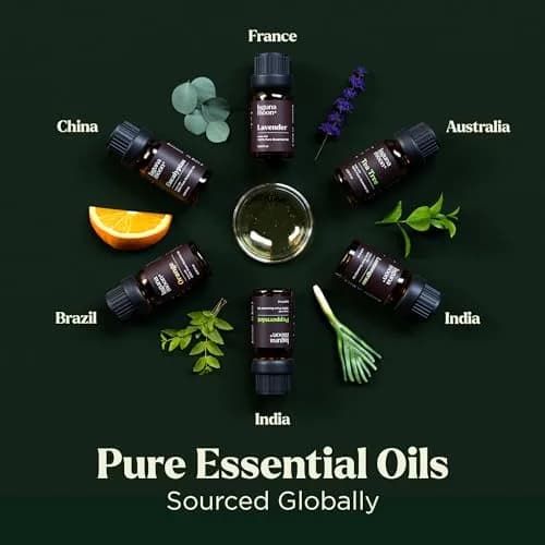 Lagunamoon Essential Oils Aromatherapy Set - 6 Oils for Diffusers, Home Care, Candle Making, 10mL | Pure, Natural, Gift-Ready thumbnail 3