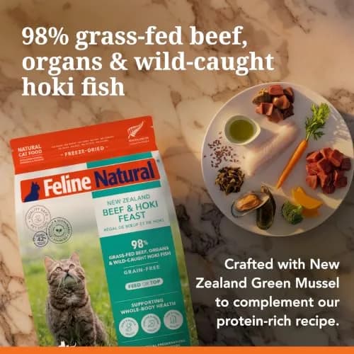 Feline Natural Beef & Hoki Freeze Dried Cat Food 11 oz (312 g) | 98% Meat, Organs & Seafood thumbnail 4