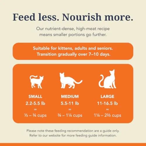 Feline Natural Beef & Hoki Freeze Dried Cat Food 11 oz (312 g) | 98% Meat, Organs & Seafood thumbnail 6
