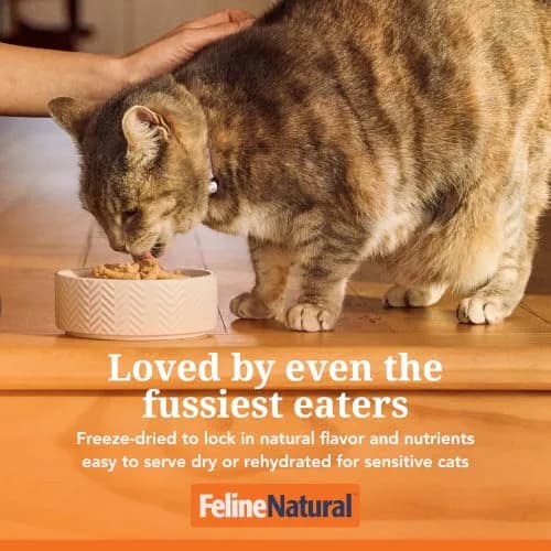 Feline Natural Beef & Hoki Freeze Dried Cat Food 11 oz (312 g) | 98% Meat, Organs & Seafood thumbnail 3