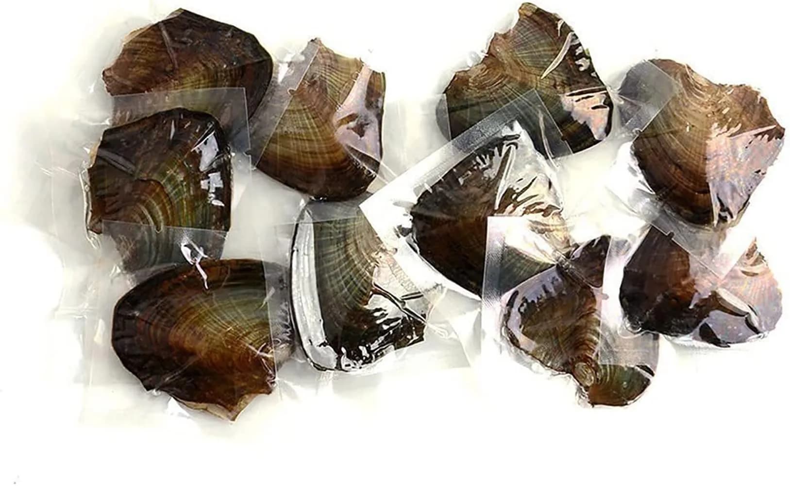 NIGHT-GRING 10 PC Freshwater Cultured Pearl Oyster Oval Pearls 7.5-8mm | Assorted Colors - main product image