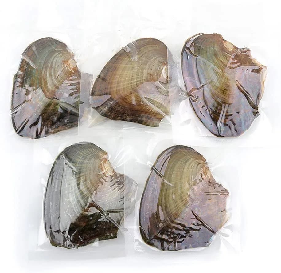 NIGHT-GRING 10 PC Freshwater Cultured Pearl Oyster Oval Pearls 7.5-8mm | Assorted Colors thumbnail 6