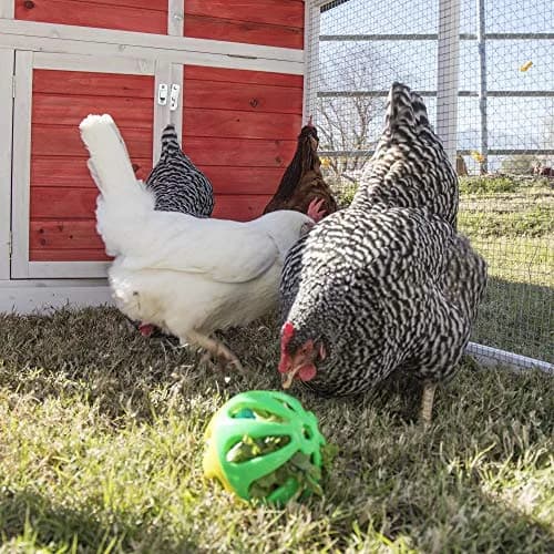 Ware Manufacturing Peck N Play Chicken Ball Toy 11.4 cm (4.5 inches) | Treat Dispensing & Jingle Ball for Backyard Birds thumbnail 3