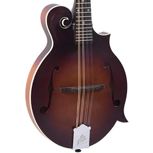 The Loar LM-310F-BRB Honey Creek F-Style Mandolin | Hand-Carved Spruce Top, 4.5/5⭐ thumbnail 4