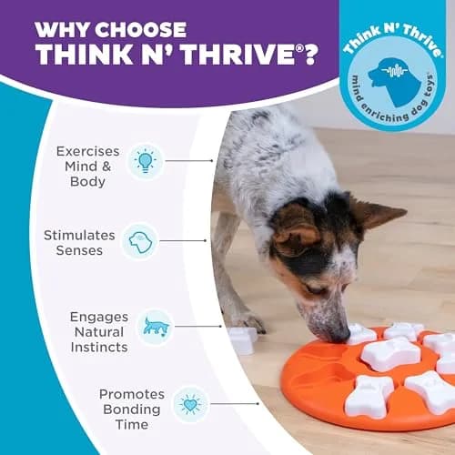 Outward Hound Nina Ottosson Dog Smart Treat Puzzle 28.6cm (11") | Beginner Level Interactive Dog Toy thumbnail 6
