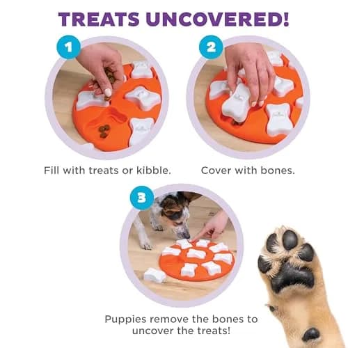 Outward Hound Nina Ottosson Dog Smart Treat Puzzle 28.6cm (11") | Beginner Level Interactive Dog Toy thumbnail 3