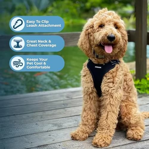 Voyager Step-in Flex Adjustable Dog Harness - Black, Large | Breathable Air Mesh & 3M Reflective Stripes thumbnail 5