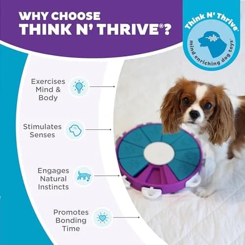 Outward Hound Nina Ottosson Dog Twister Treat Puzzle 11.8" (30cm) | Advanced Level 3 Dog Toy for Mental Stimulation thumbnail 6