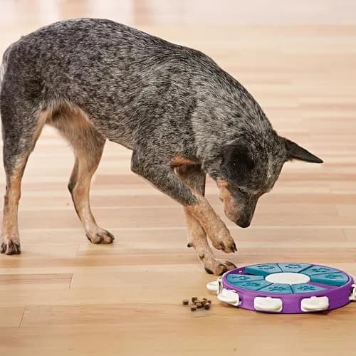 Outward Hound Nina Ottosson Dog Twister Treat Puzzle 11.8" (30cm) | Advanced Level 3 Dog Toy for Mental Stimulation thumbnail 8