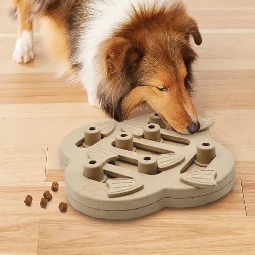 Outward Hound Dog Hide N' Slide Treat Puzzle Toy Level 2 Intermediate Tan | Interactive Dog Enrichment thumbnail 8
