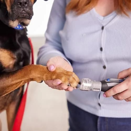 Dremel Pet Grooming Nail Guard Attachment, AT02-PGK | 45° Paw Guide for Gentle Nail Trimming thumbnail 3