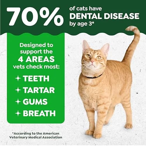 Greenies Feline Dental Cat Treats Roasted Chicken Flavor 21 oz (600g) | Veterinarian Recommended Oral Care thumbnail 2