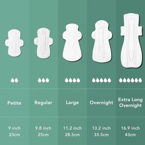 Rael Organic Cotton Cover Sanitary Pads, Moderate Absorbency, Regular, 28 Count | Hypoallergenic & Chlorine-Free thumbnail 6