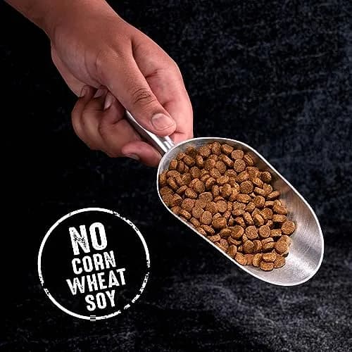 CRAVE Grain Free High Protein Adult Dry Dog Food, White Fish & Salmon, 12 lb. Bag | Protein-Rich, Grain-Free Nutrition for Dogs thumbnail 7